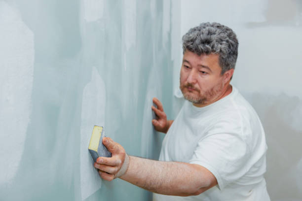 Professional Mold Removal in Vass, NC