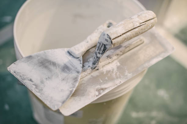Forensic Mold Investigation in Vass, NC